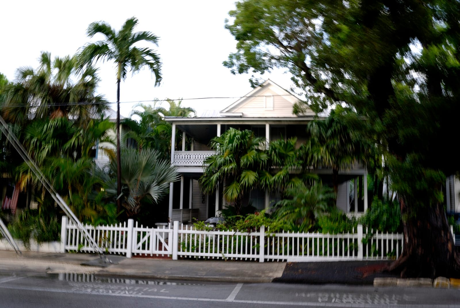 Cafe Maton photo 4