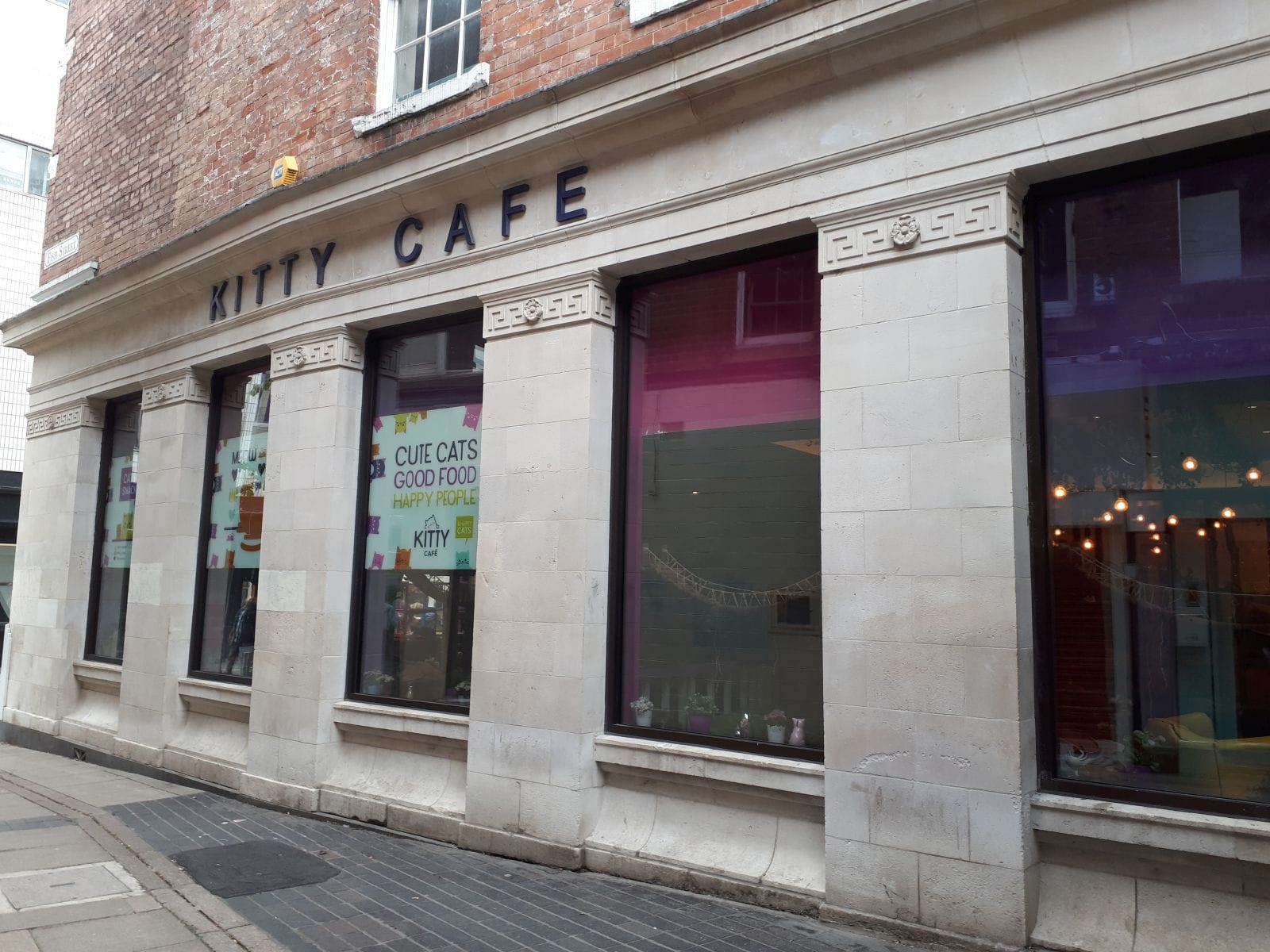 Kitty Cafe photo 3