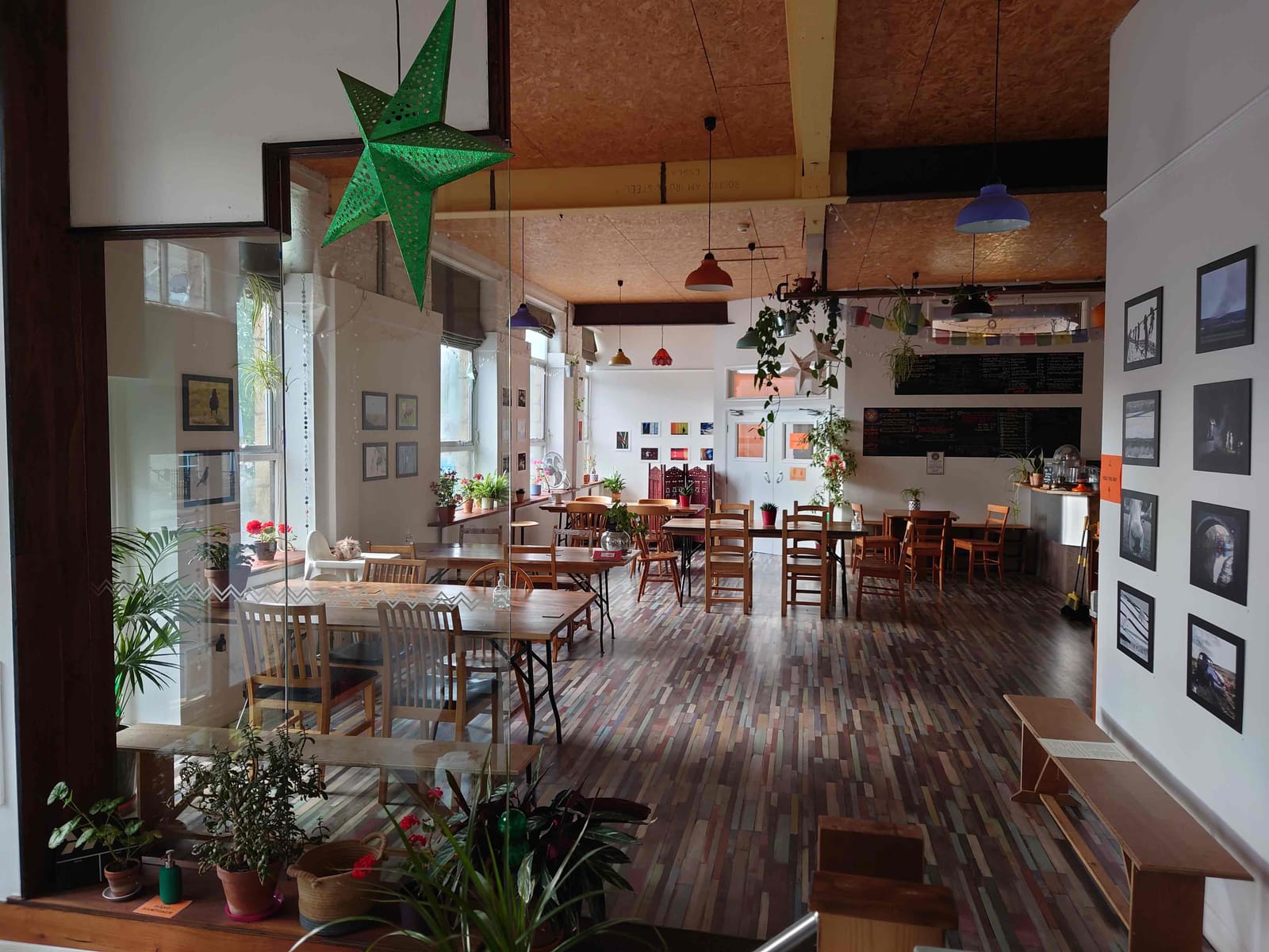 Dandelion Cafe photo 3