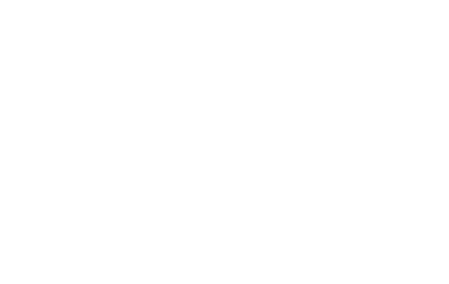 Little Leaf Cafe photo 2