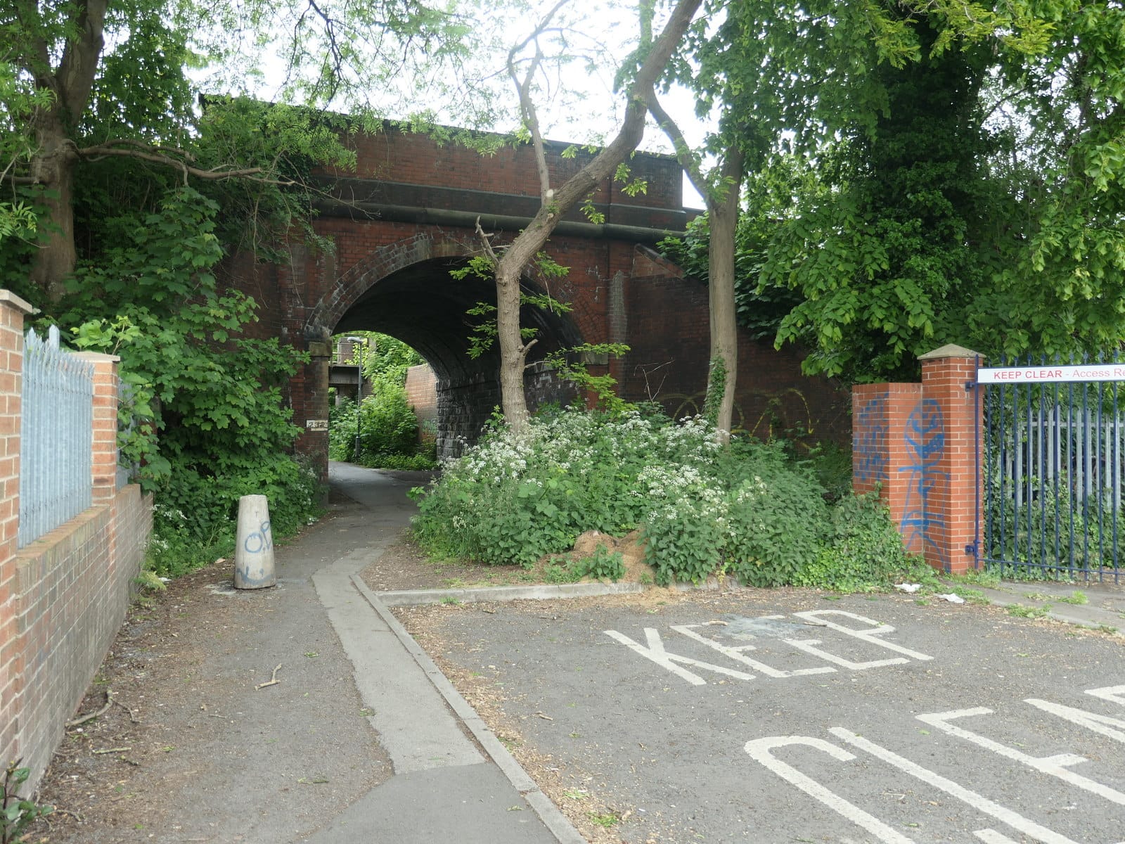 Thornes Lane Cafe photo 11