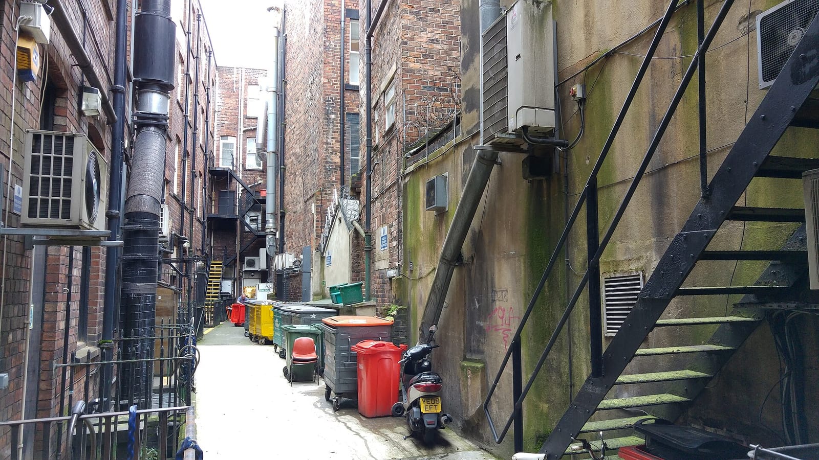 Vinyl Grounds photo 3