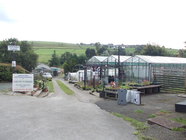 The Watering Can Tea Room photo 2