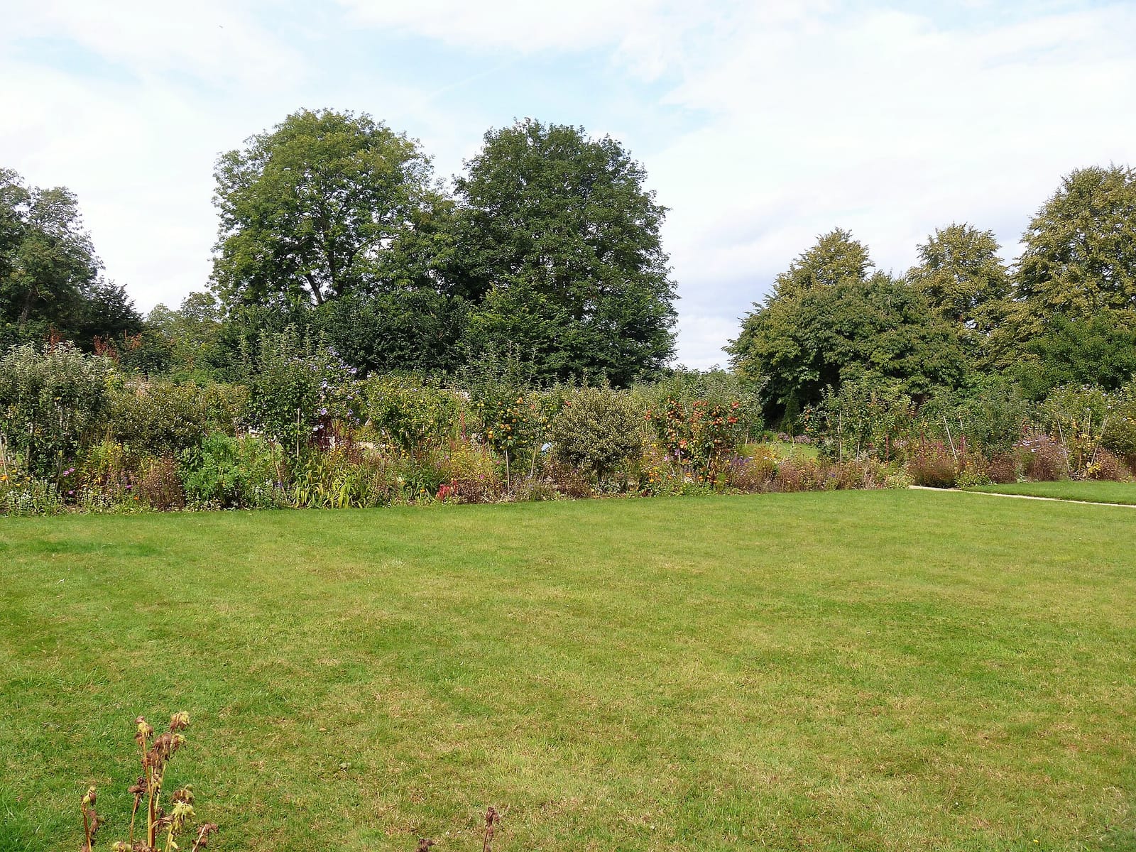 Coach House Tea Rooms photo 3