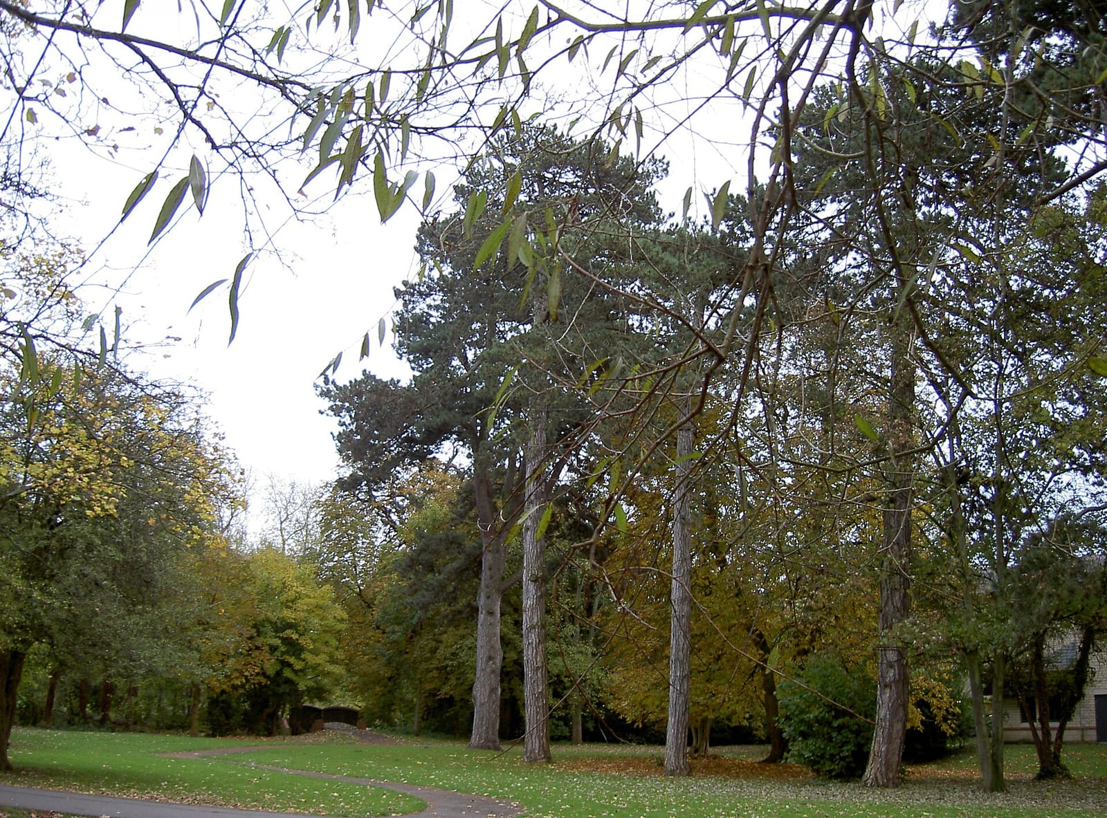 Boswells