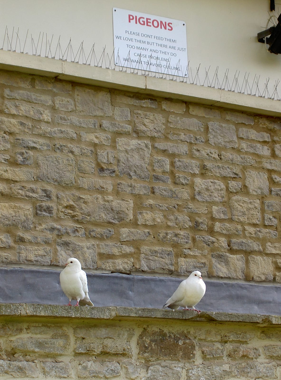 Grounded Corsham photo 2