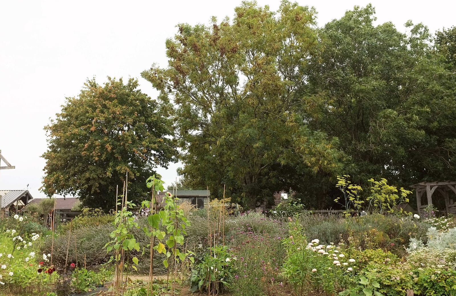 Hartley Farm photo 3