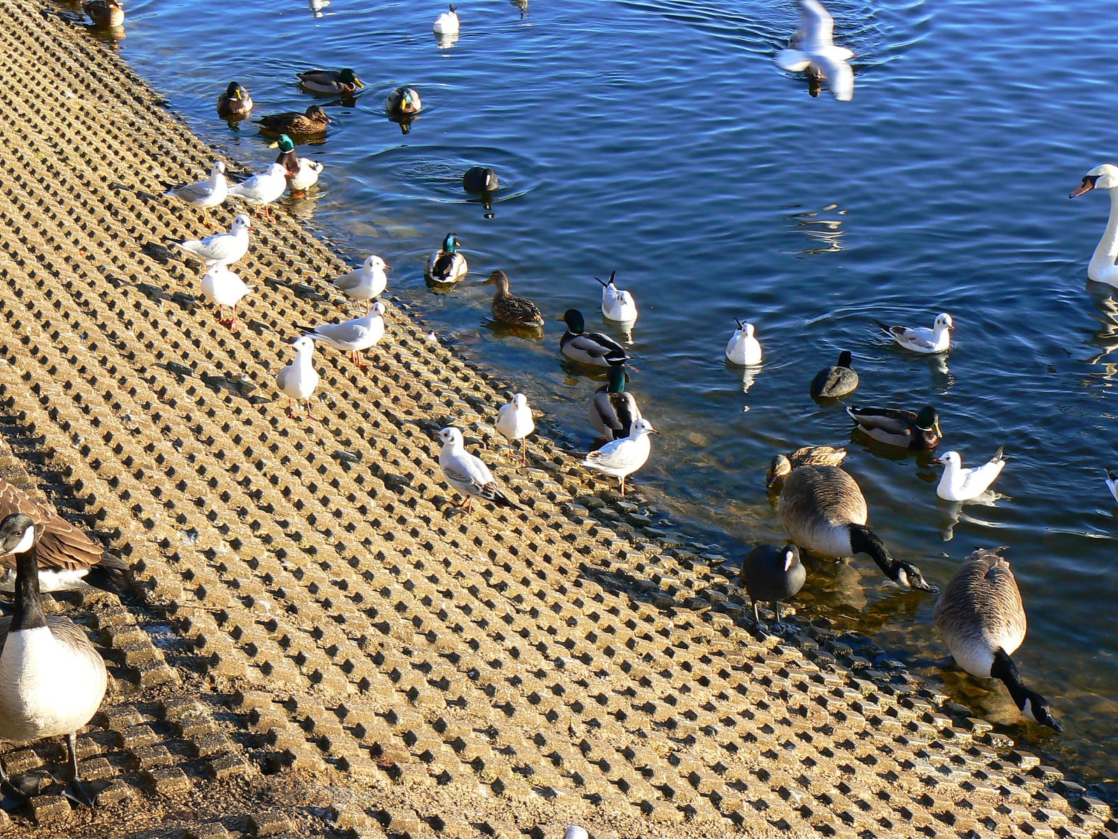 Coate Water Cafe photo 4