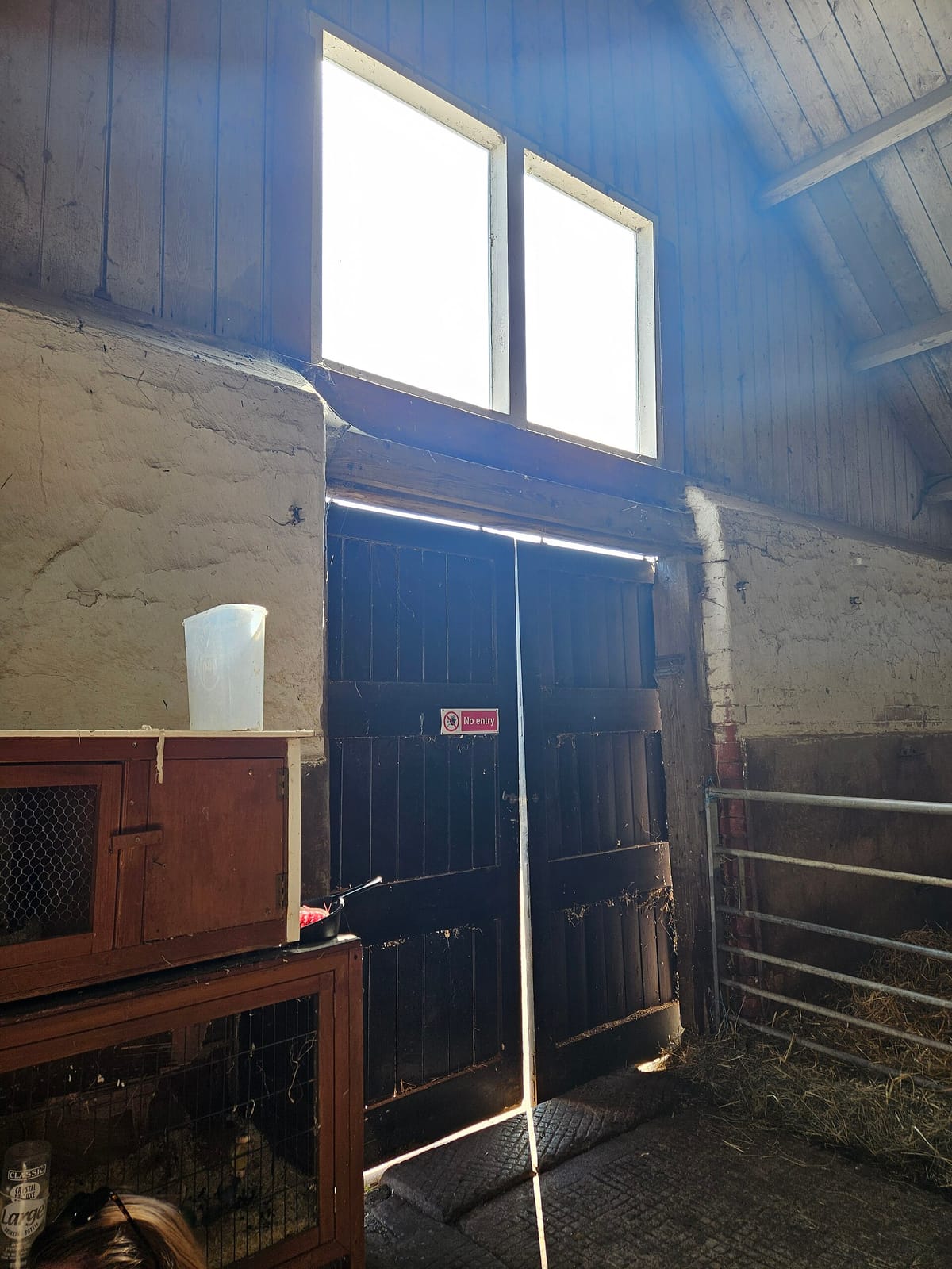 Lizzie's Farm