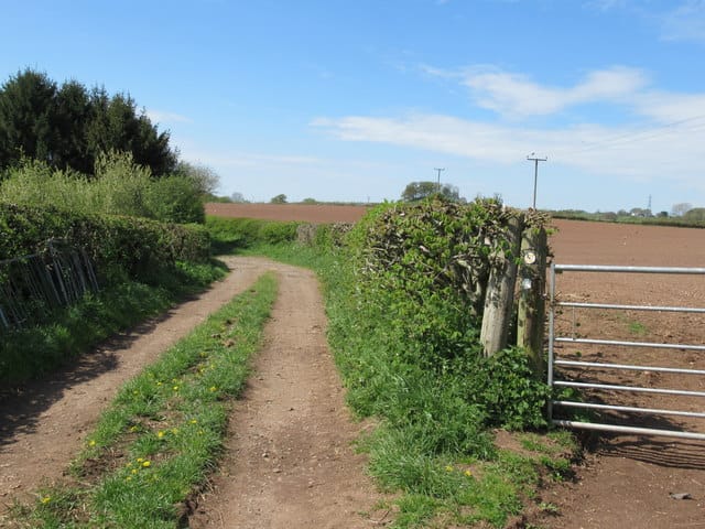Lizzie's Farm photo 4
