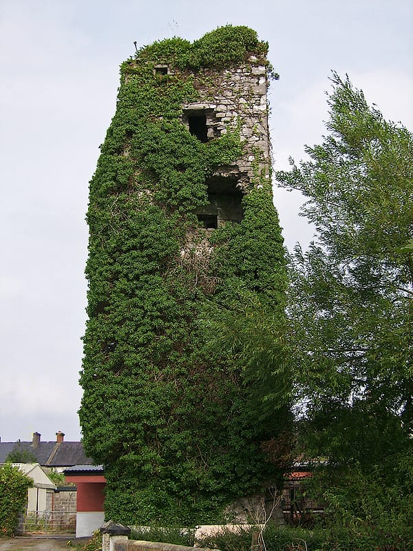 Pat's Cafe Castleisland photo 3