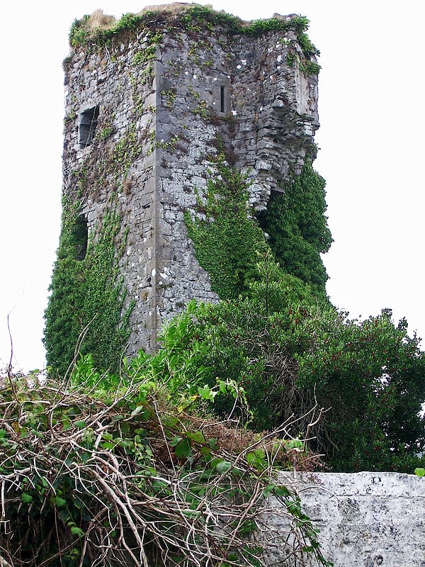 Pat's Cafe Castleisland photo 4