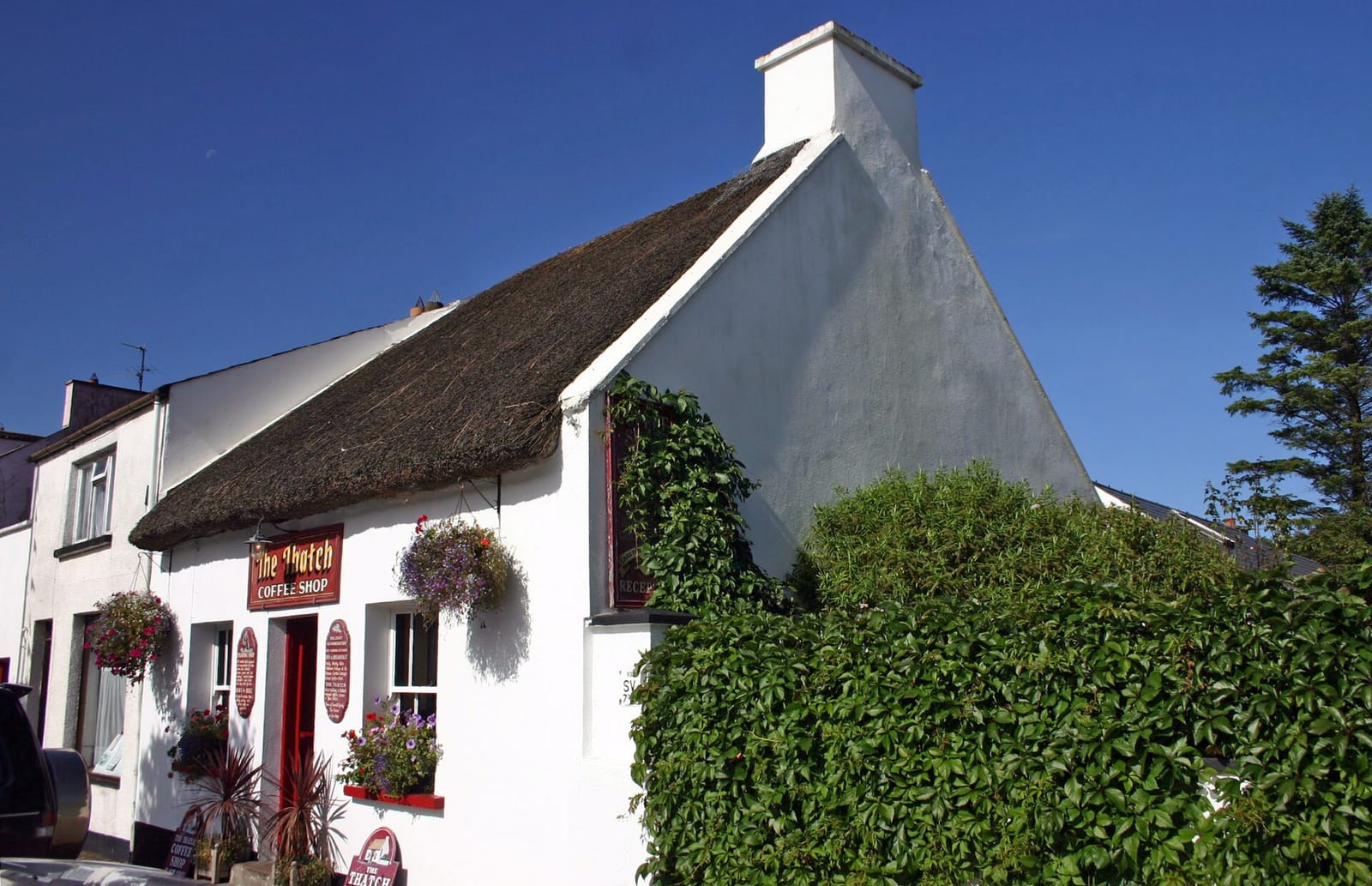 The Thatch photo 2