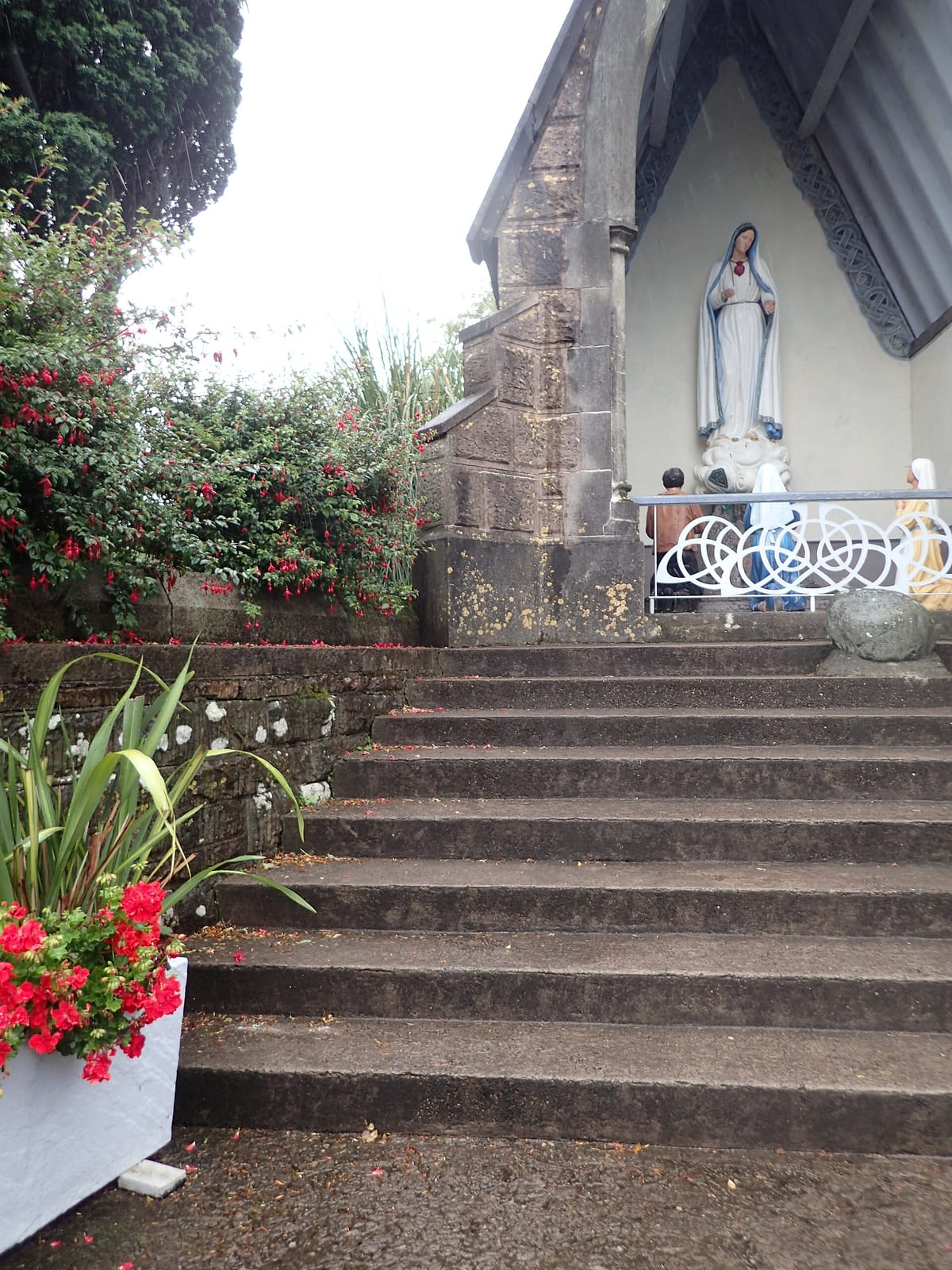Bean In Dingle photo 2