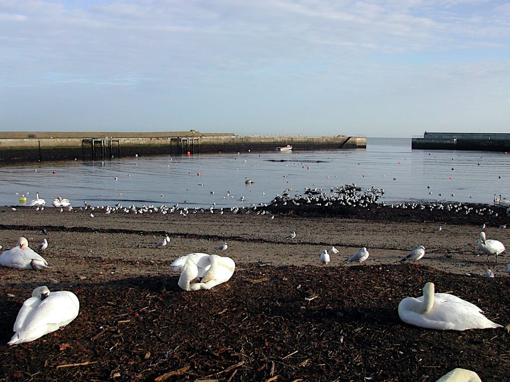 Dockyard No 8 photo 2