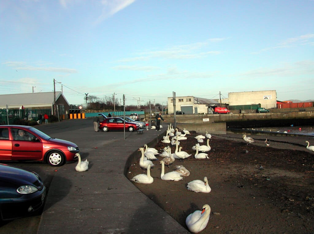 Dockyard No 8 photo 3
