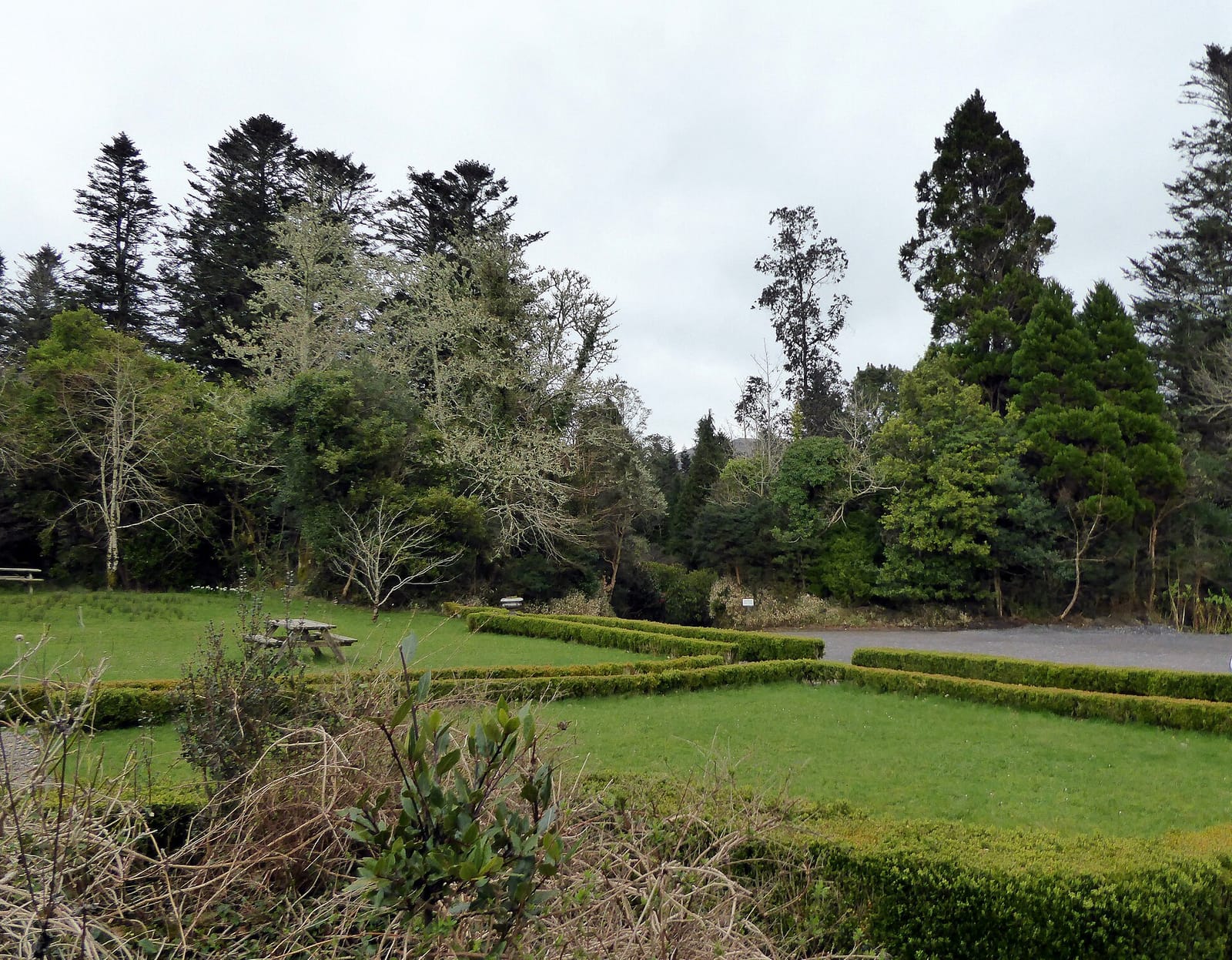 Derreen Garden Café photo 2