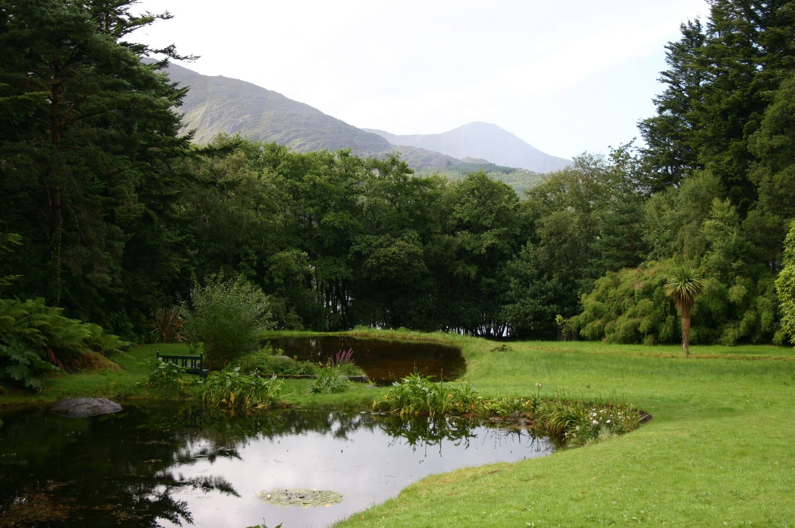 Derreen Garden Café photo 3