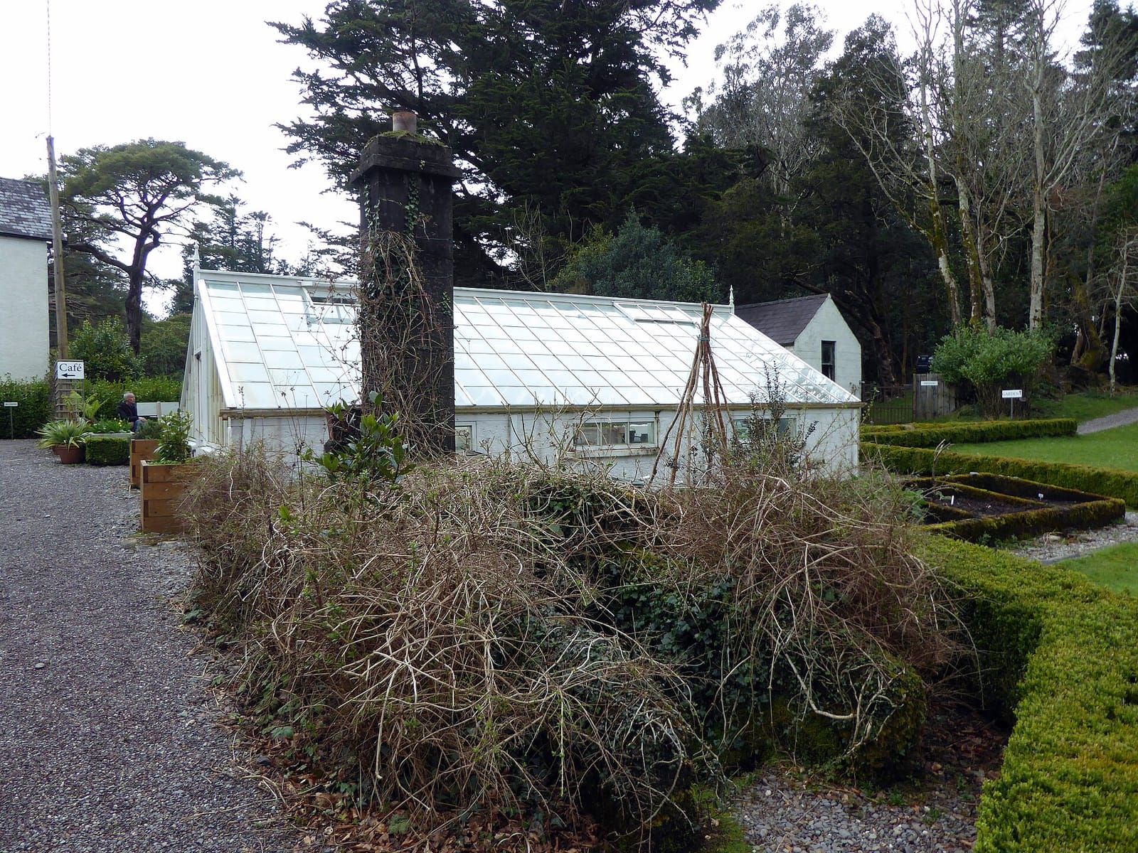 Derreen Garden Café