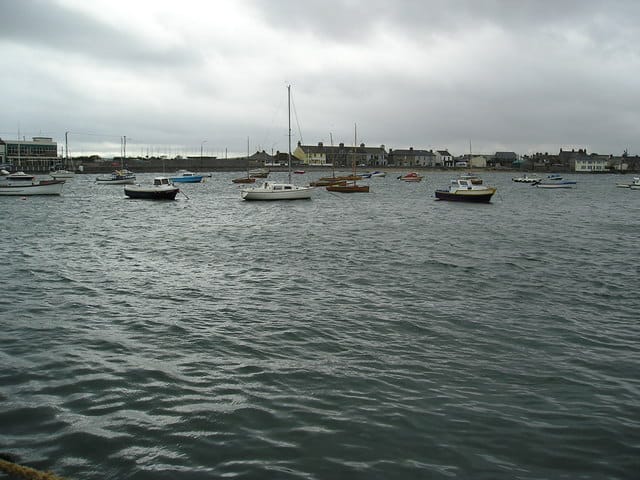 Goat in the Boat photo 2
