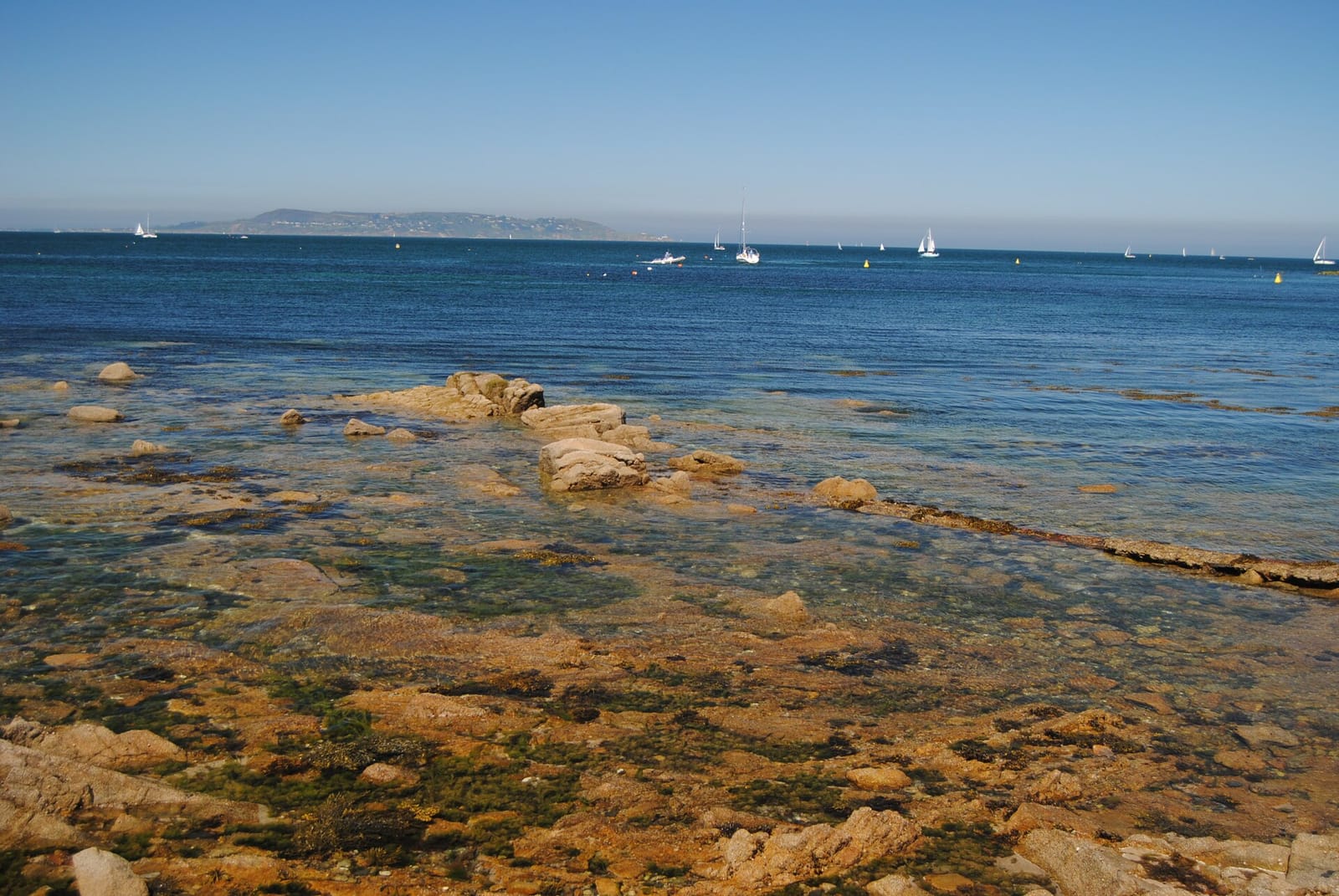 Cremosa photo 3
