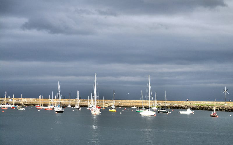 Baily Bites at Kish photo 2