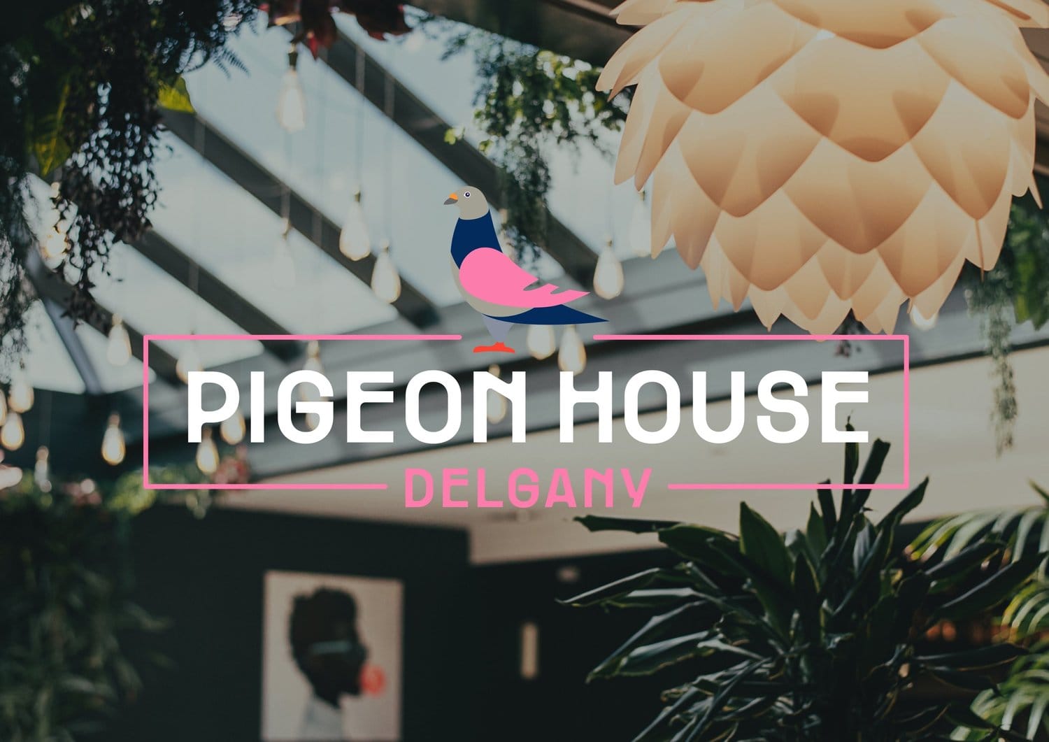 Pigeon House Cafe photo 2