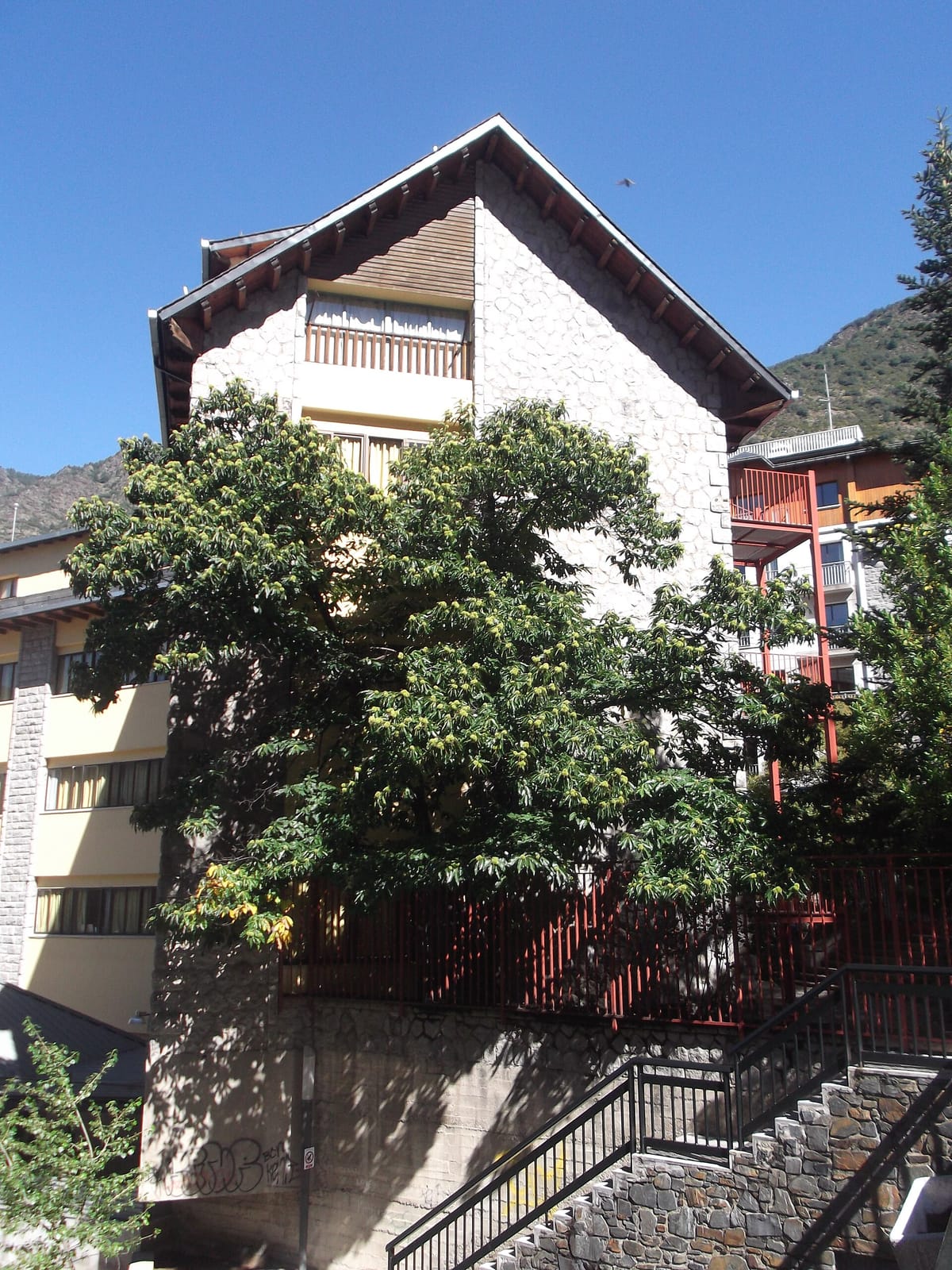 Dolç i Salat photo 2