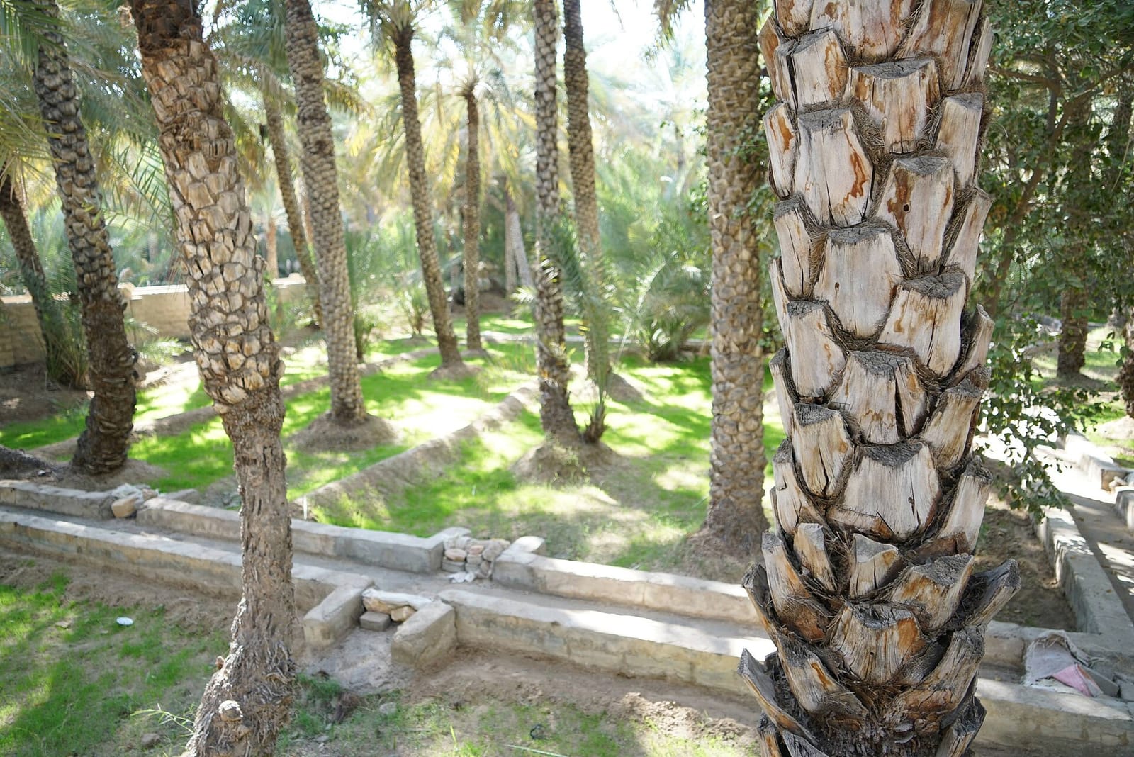 Ethr - Al Ain Oasis photo 10