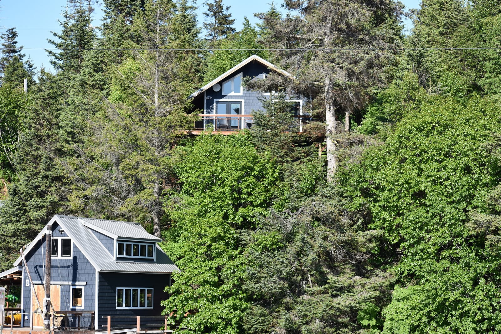Halibut Cove Coffee House photo 2