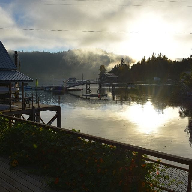 Halibut Cove Coffee House photo 5