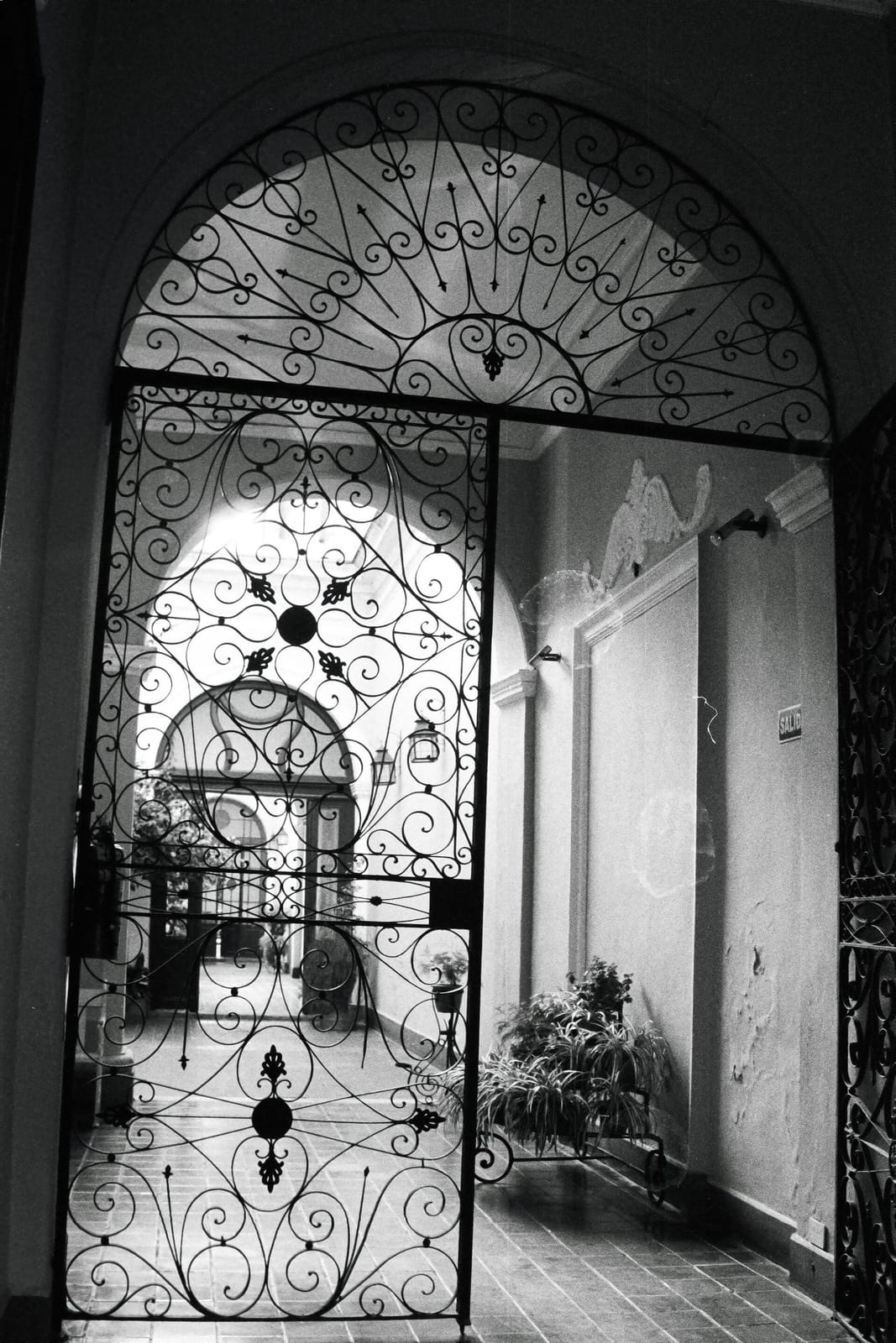 El Molino photo 3