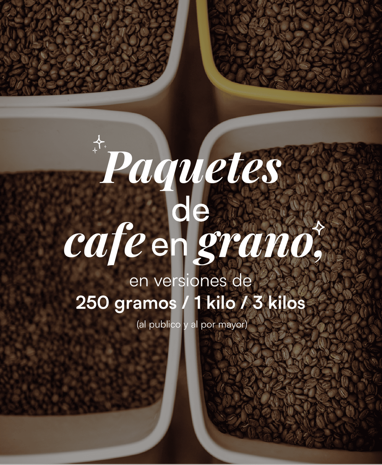 vive cafe photo 6