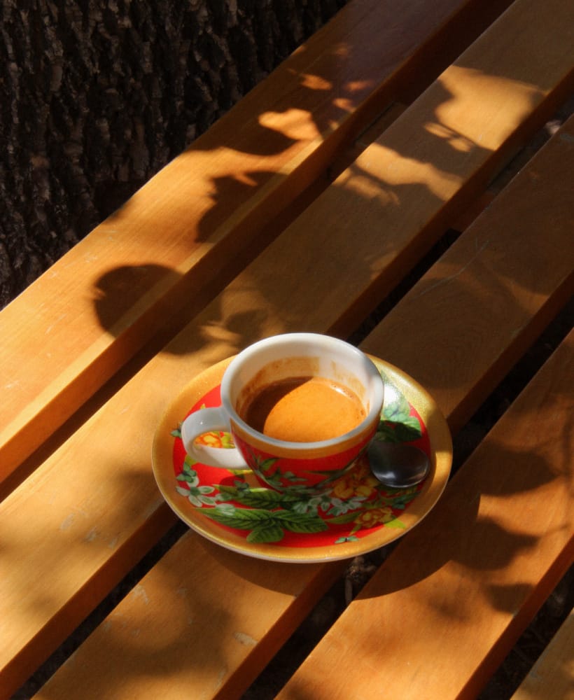 vive cafe photo 5
