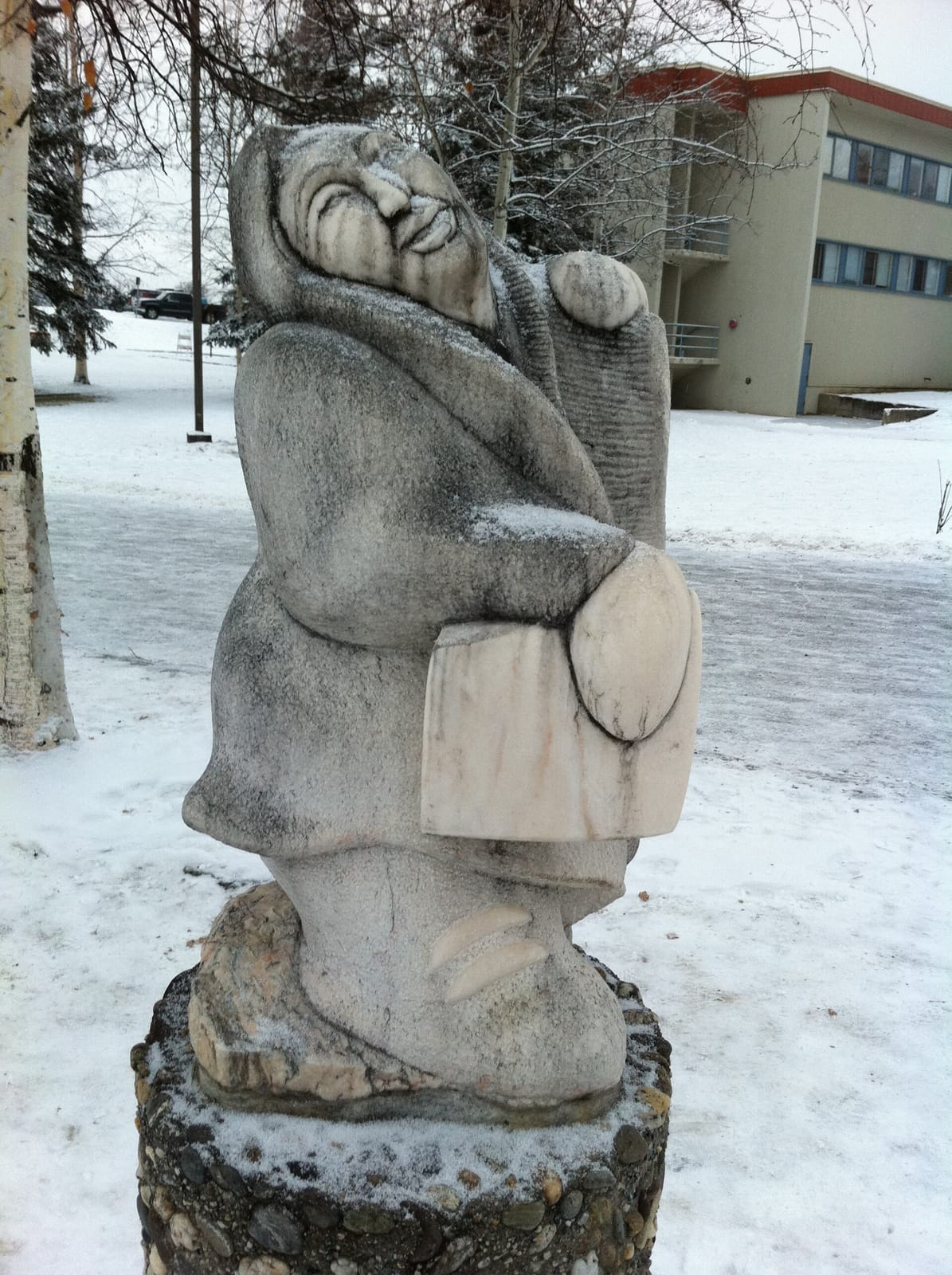 Arctic Java photo 4