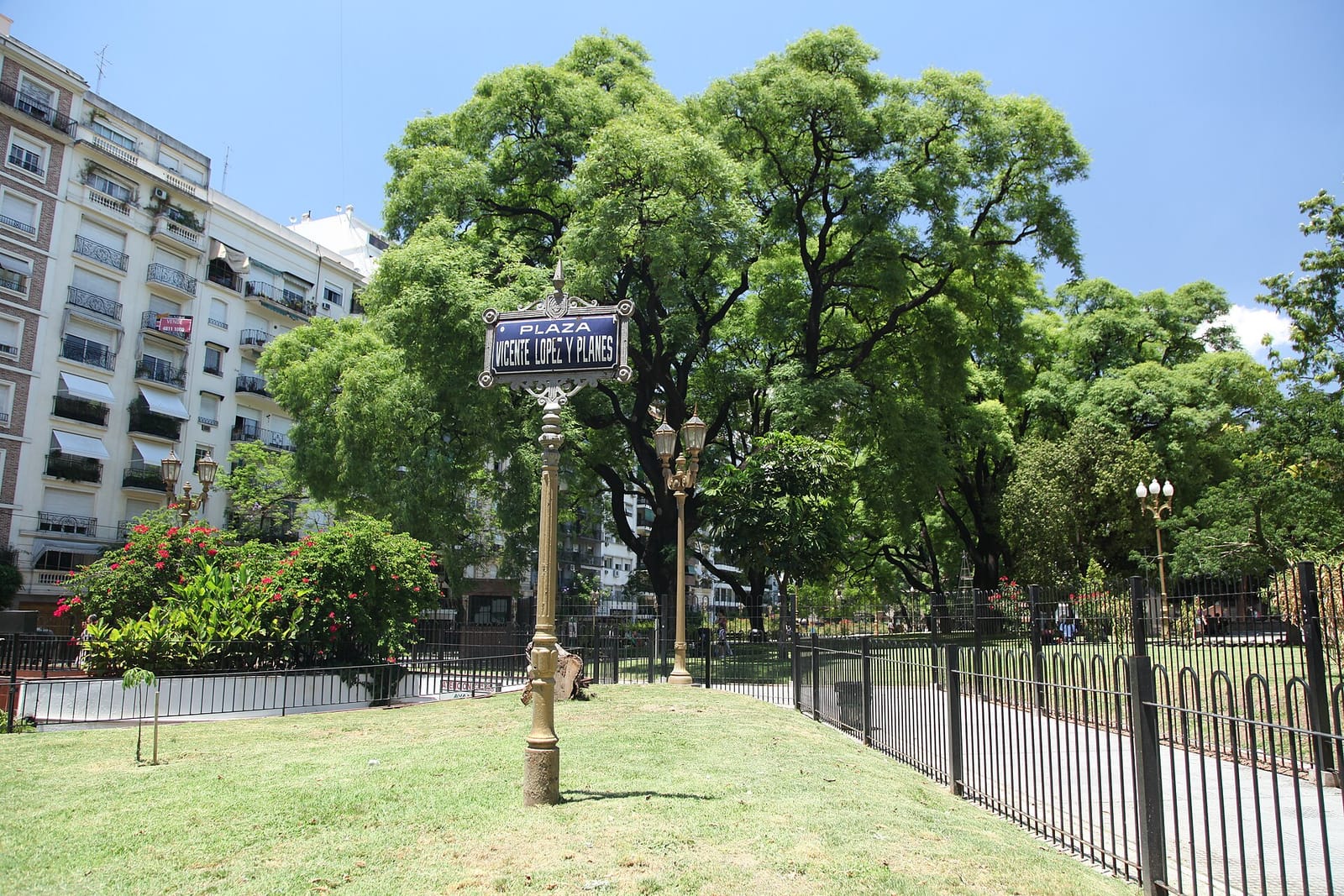 Nataria Portuguesa photo 3