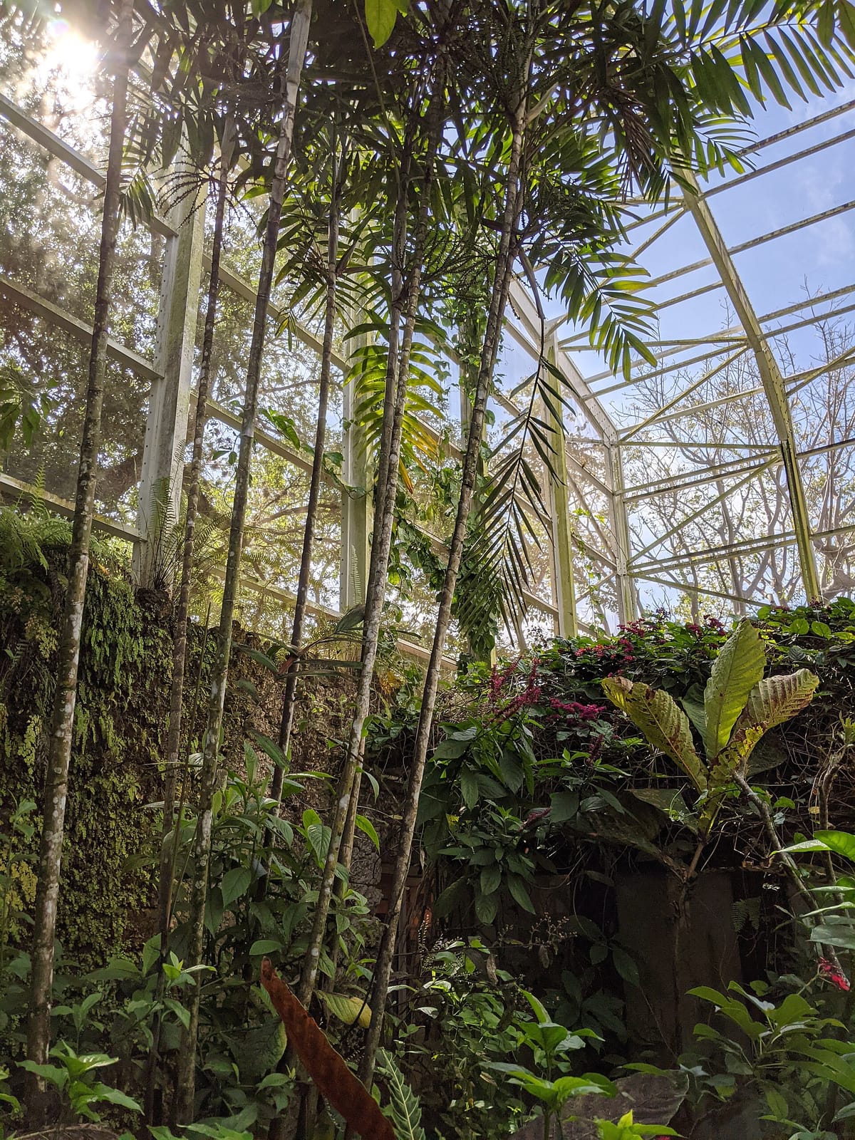 Glasshouse Café photo 4