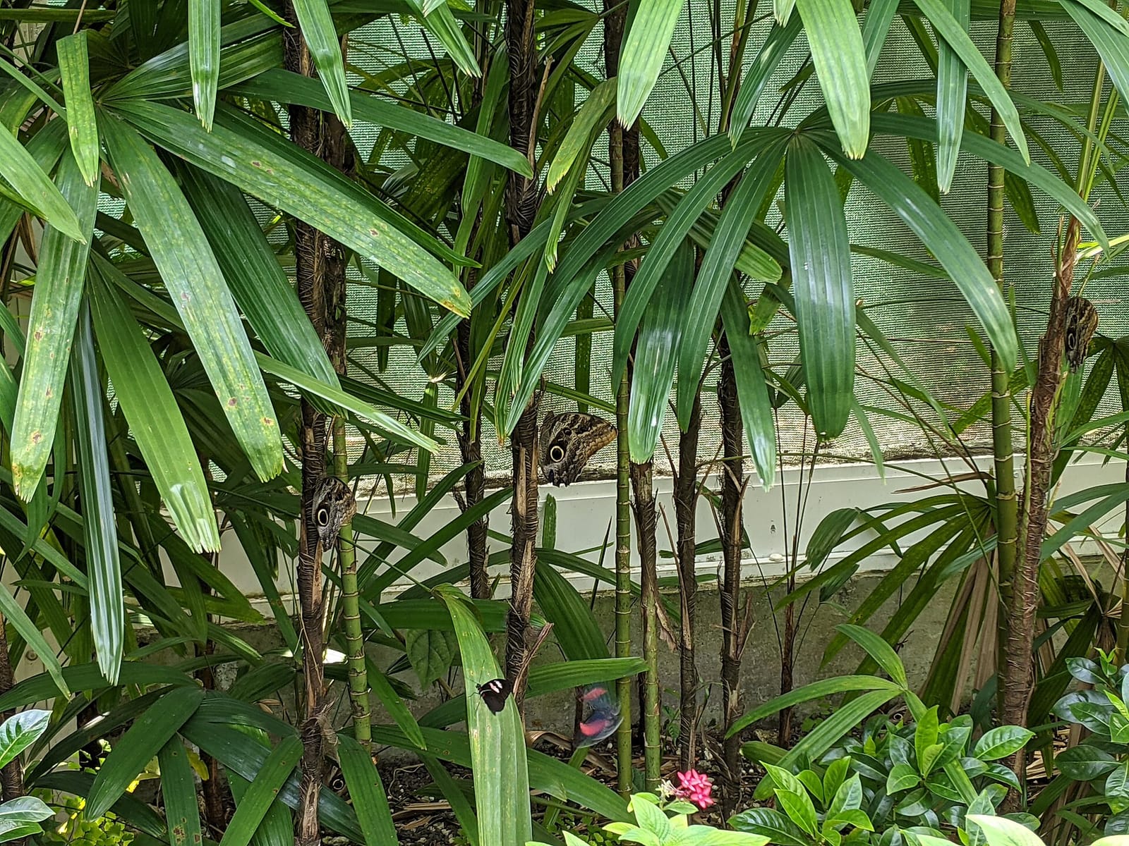 Glasshouse Café photo 5
