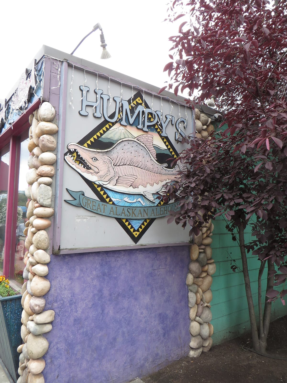 Wild Starr Coffee House photo 5