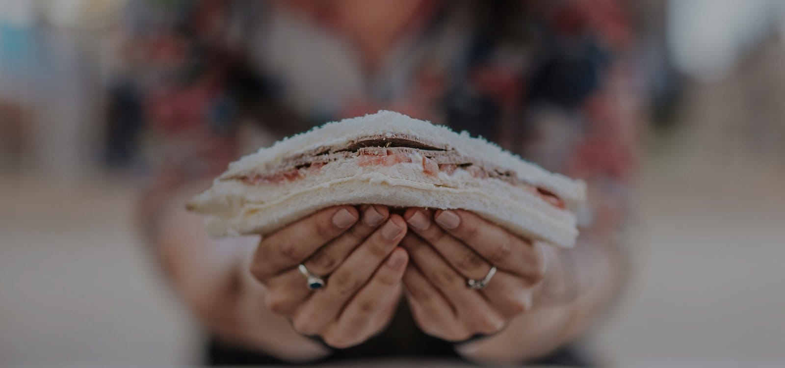 Mi Sandwich photo 2