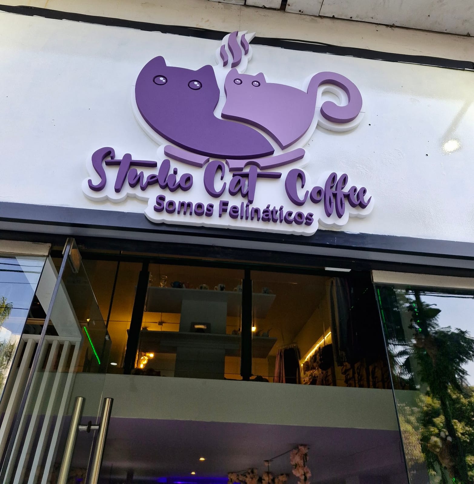 Studio Cat Café