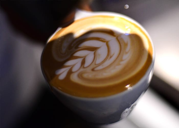 Llama Coffee Roasters photo 5