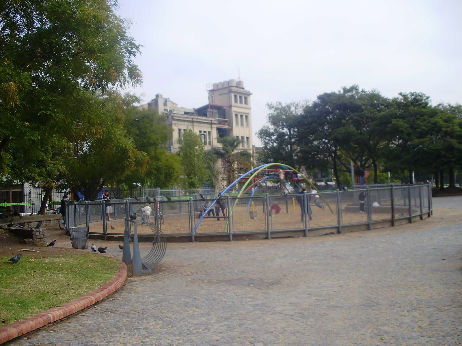 Martinelli photo 2