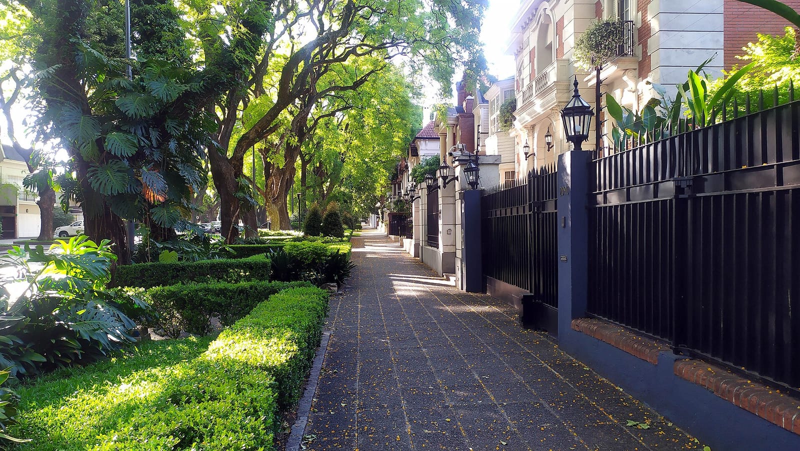 Central Pan