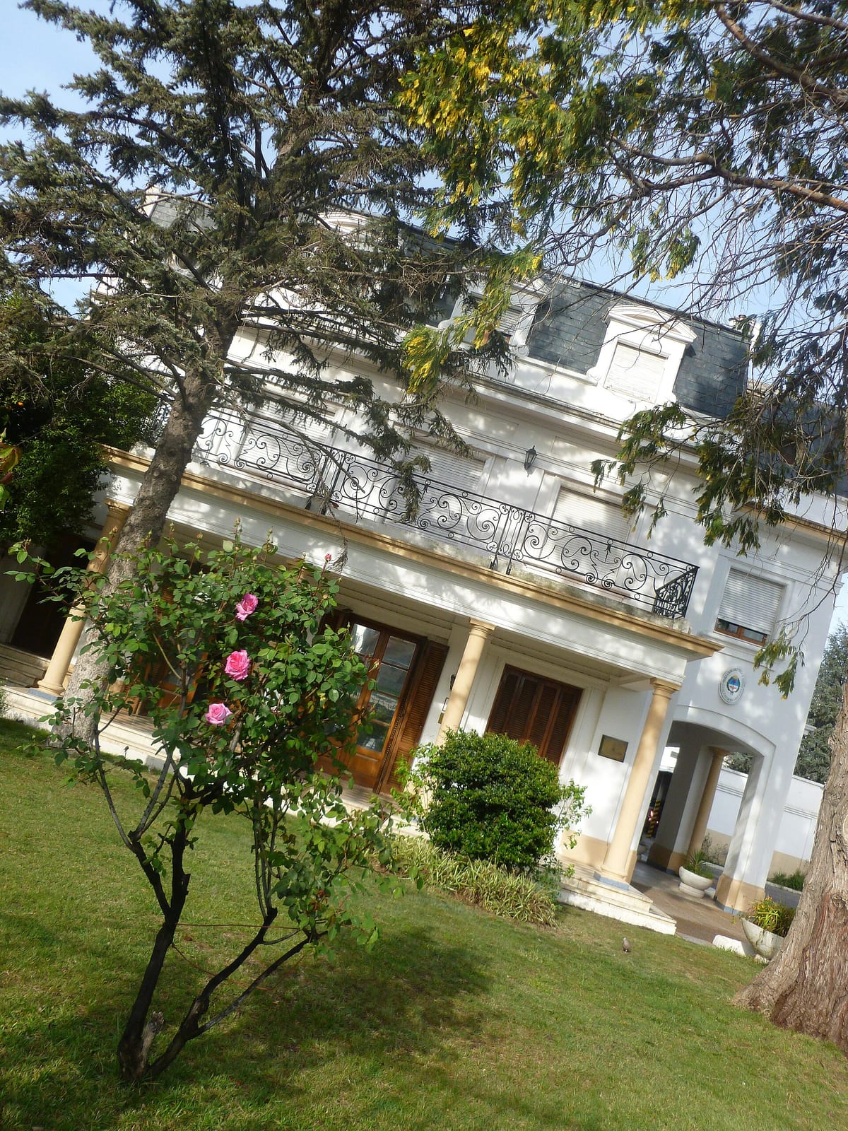 Del Turista photo 2