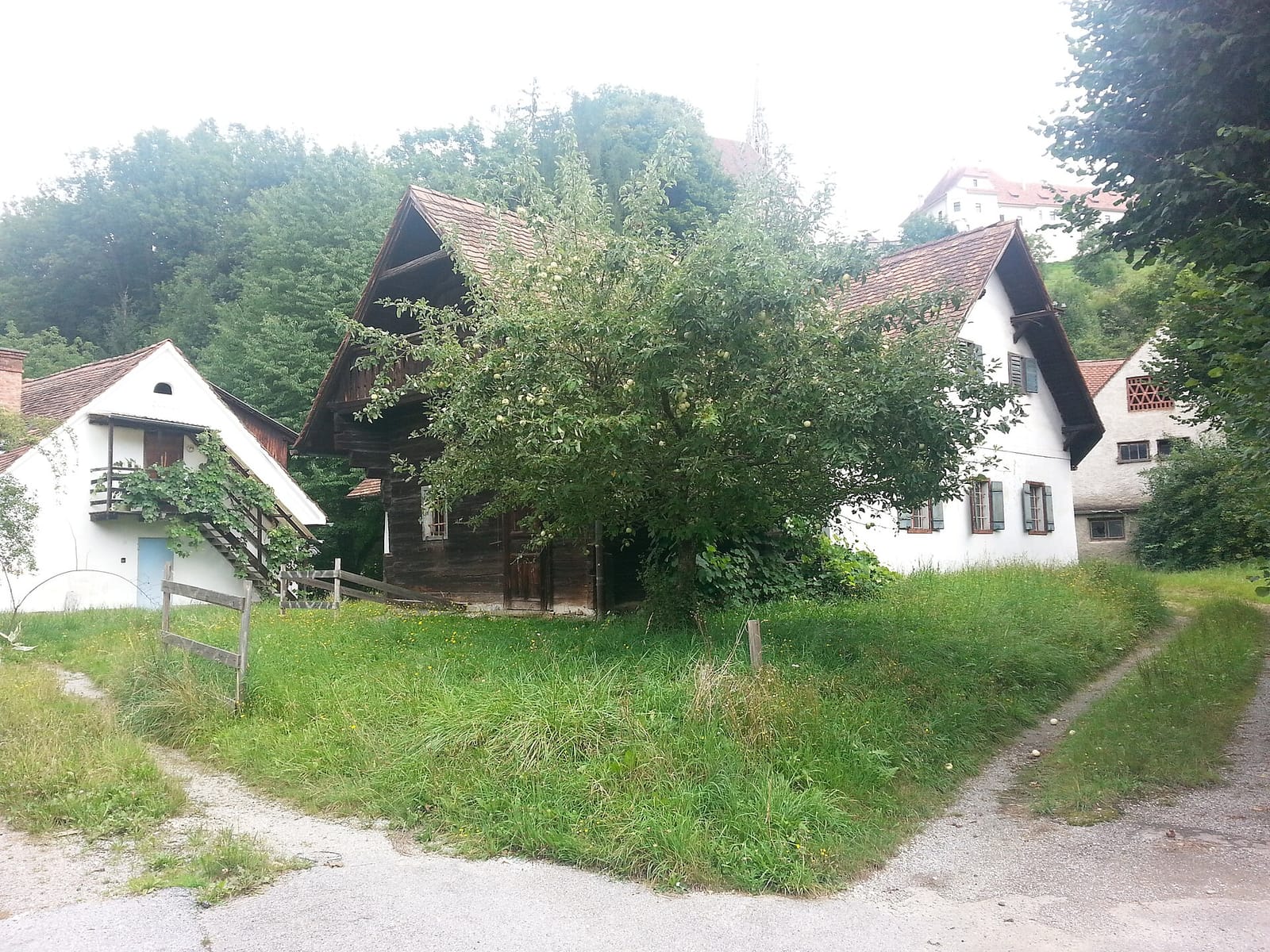 Marianne photo 3