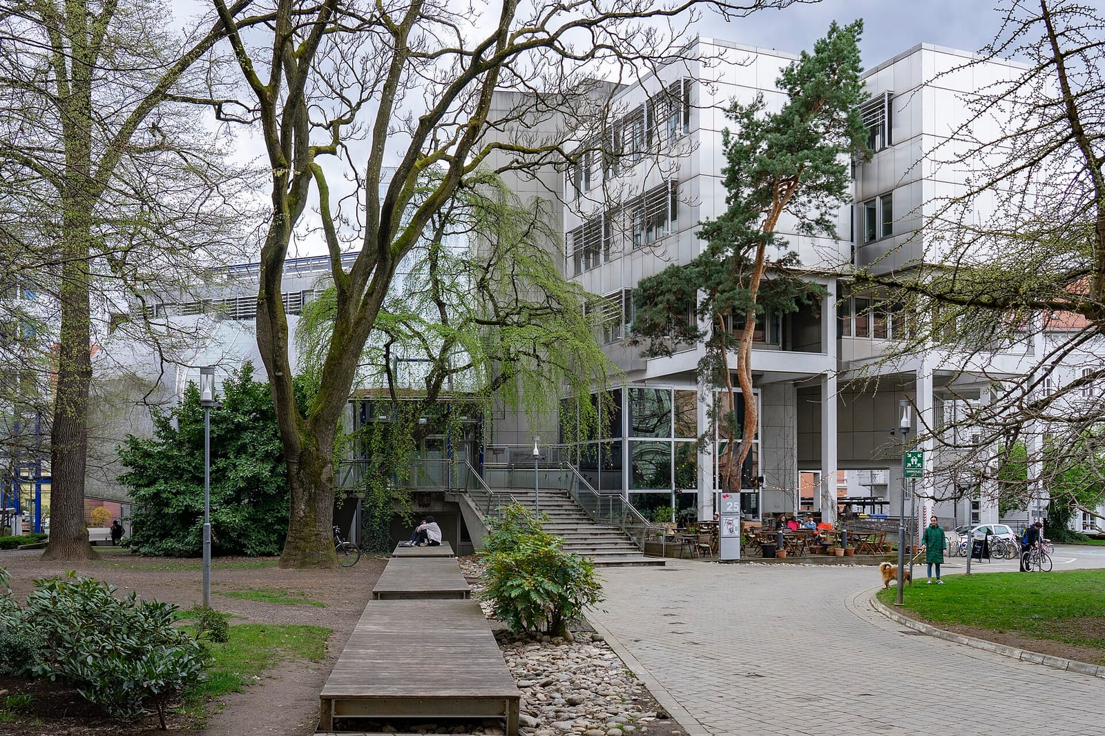 Kork photo 5