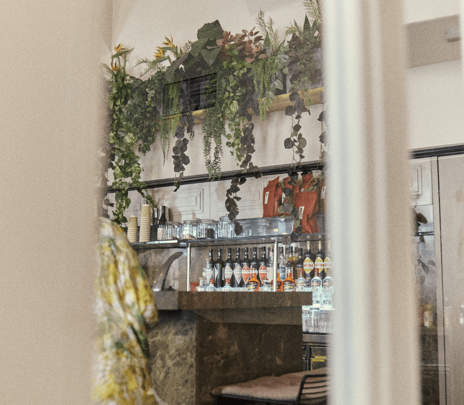 Cafe Drechsler photo 6