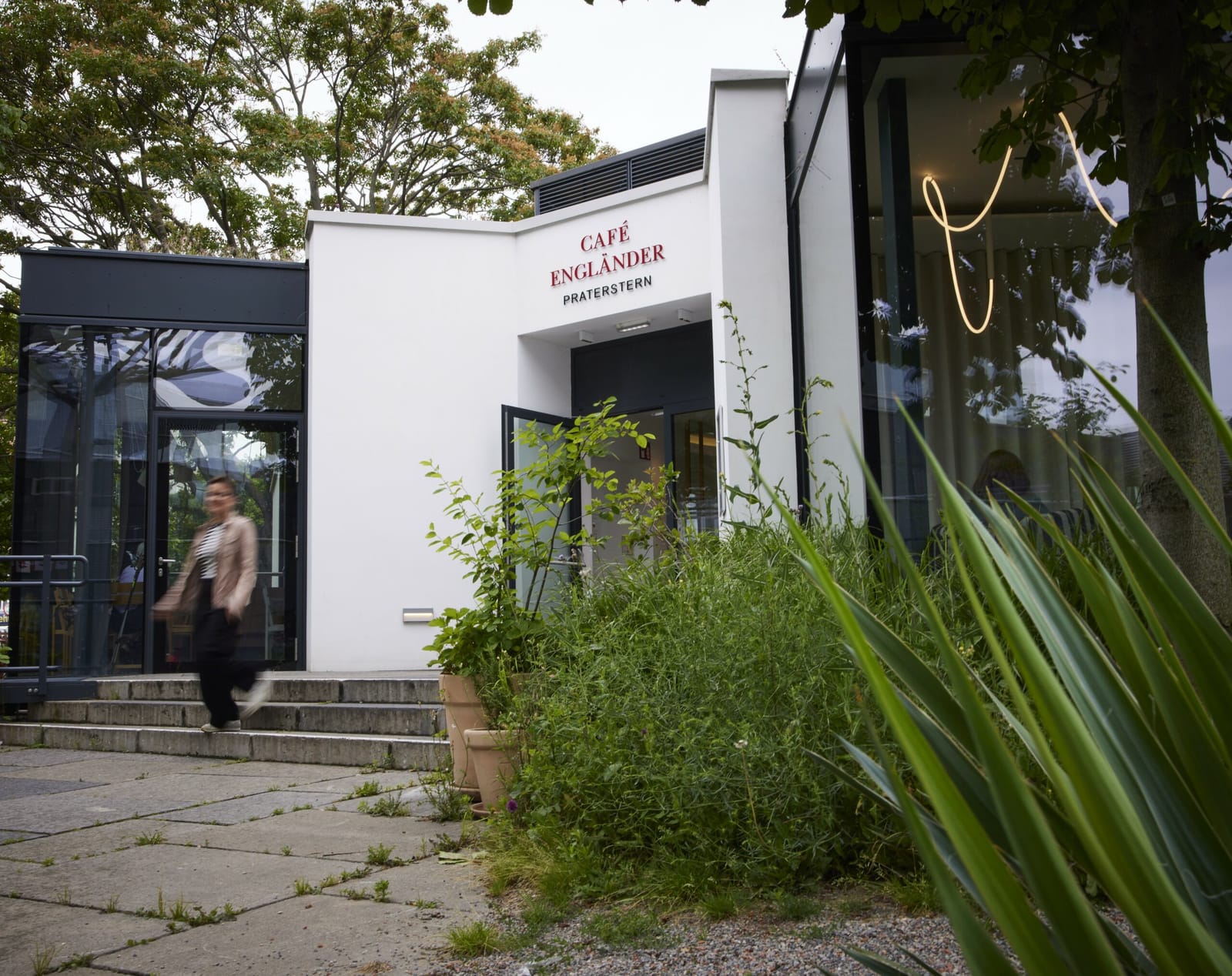 Café Engländer photo 3