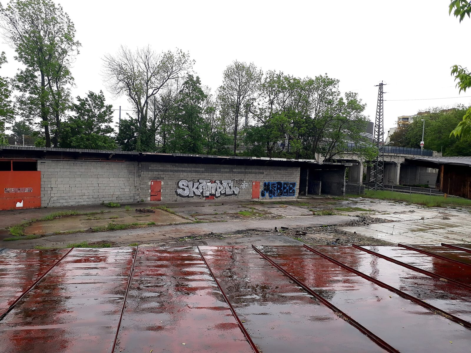 Szihn